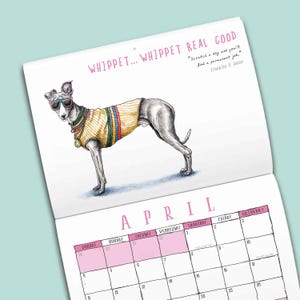 May include: A wall calendar page for April featuring a drawing of a greyhound wearing colorful sunglasses, a yellow sweater with blue and red stripes, and a gold chain. The text reads: WHIPPET... WHIPPET REAL GOOD and Scratch a dog and you'll find a permanent job.