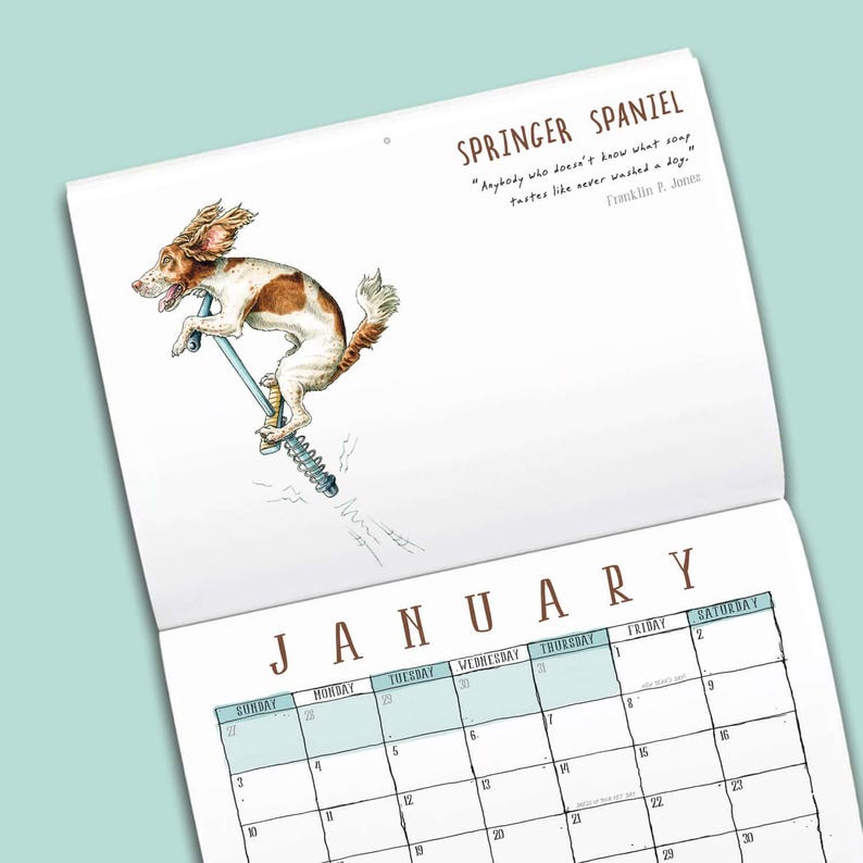 May include: A wall calendar page for January featuring a watercolor illustration of a brown and white Springer Spaniel jumping on a pogo stick. The text reads Springer Spaniel and a quote by Franklin P. Jones about the taste of soap.