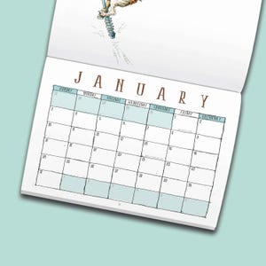 May include: A wall calendar page for the month of January with a grid layout featuring the days of the week from Sunday to Saturday. The top section displays a partial illustration of a figure on a pogo stick. The grid includes numbered dates.