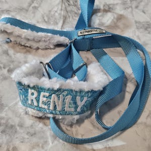 Op de afbeelding: Een lichtblauw nylon hondentuigje met een witte voering van imitatiebont. Het borststuk is gemaakt van gemarmerde blauwe en groenblauwe stof met de naam RENLY in witte letters geborduurd. Een klein label bevat de tekst ALL PAWSITIVE LLC.