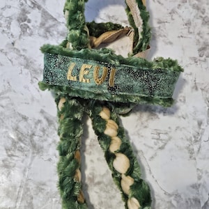Peut inclure: Collier de chien tressé vert et beige avec un patch en tissu vert et or qui dit "LEVI" dessus.