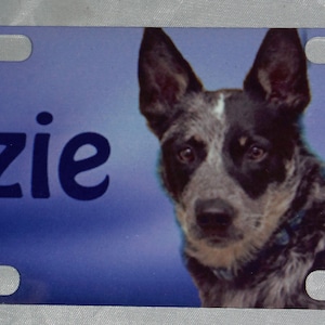 Custom Dog Crate Tag - Kennel Tag- Crate Sign - Kennel Sign - Order four, get 5th FREE