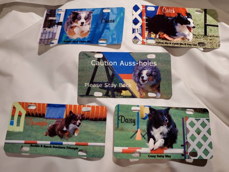 Custom Dog Crate Tag Order Four Get 5th FREE Etsy