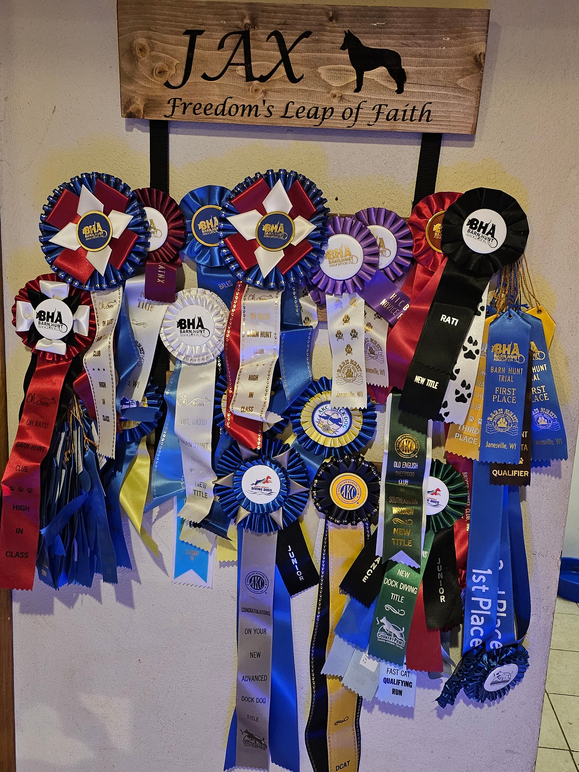 Custom Ribbon Display, Dog Award Ribbon Display Rack, Dog Rosette ...