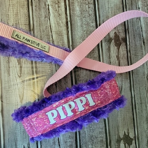 Custom Martingale Slip Lead, Martingale Leash, Easy slip lead, Martingale leash, padded collar & handle. Will not peel, crack or fade!