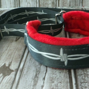 May include: A black dog collar with a red fleece lining and a barbed wire design. The collar is made of durable webbing and has a silver metal buckle.