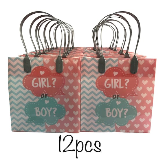 12pcs Gender Reveal Party Favor Treat Goodie Bags Etsy