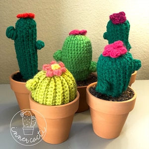 May include: Five crocheted cactus plants in terracotta pots. The cacti are green and yellow with pink and red flowers. The pots are all the same size and have a rough texture.