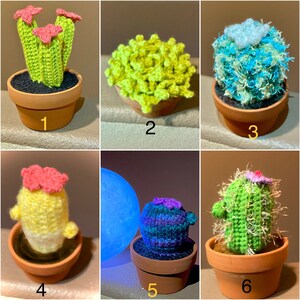 May include: Six crocheted cactus plants in different colors and styles, displayed in small terracotta pots. The cacti are arranged in a grid pattern, with each cactus in its own pot.