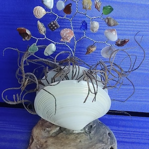 LIMITED-Wire Wrap gem trees, sea urchins, Whelk, coral, Oyster, Whales eye, beach house gift, Tulip shell, tropical, shells, sea glass tree