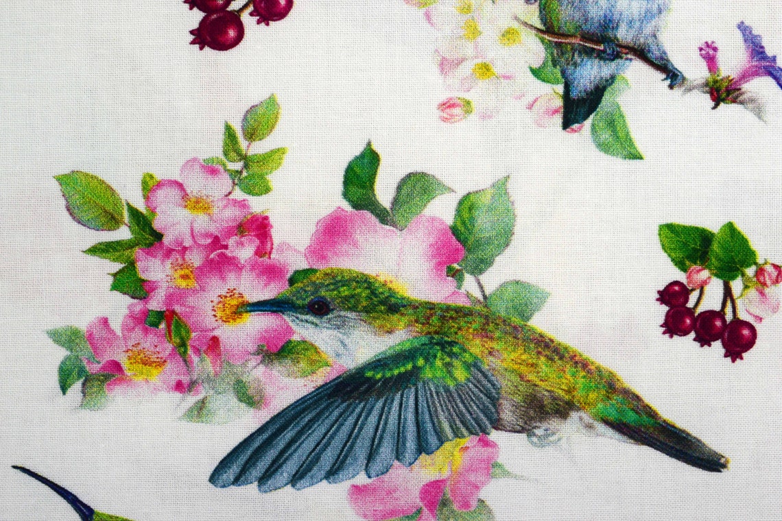Hummingbird fabric Quilting fabric cotton fabric Etsy