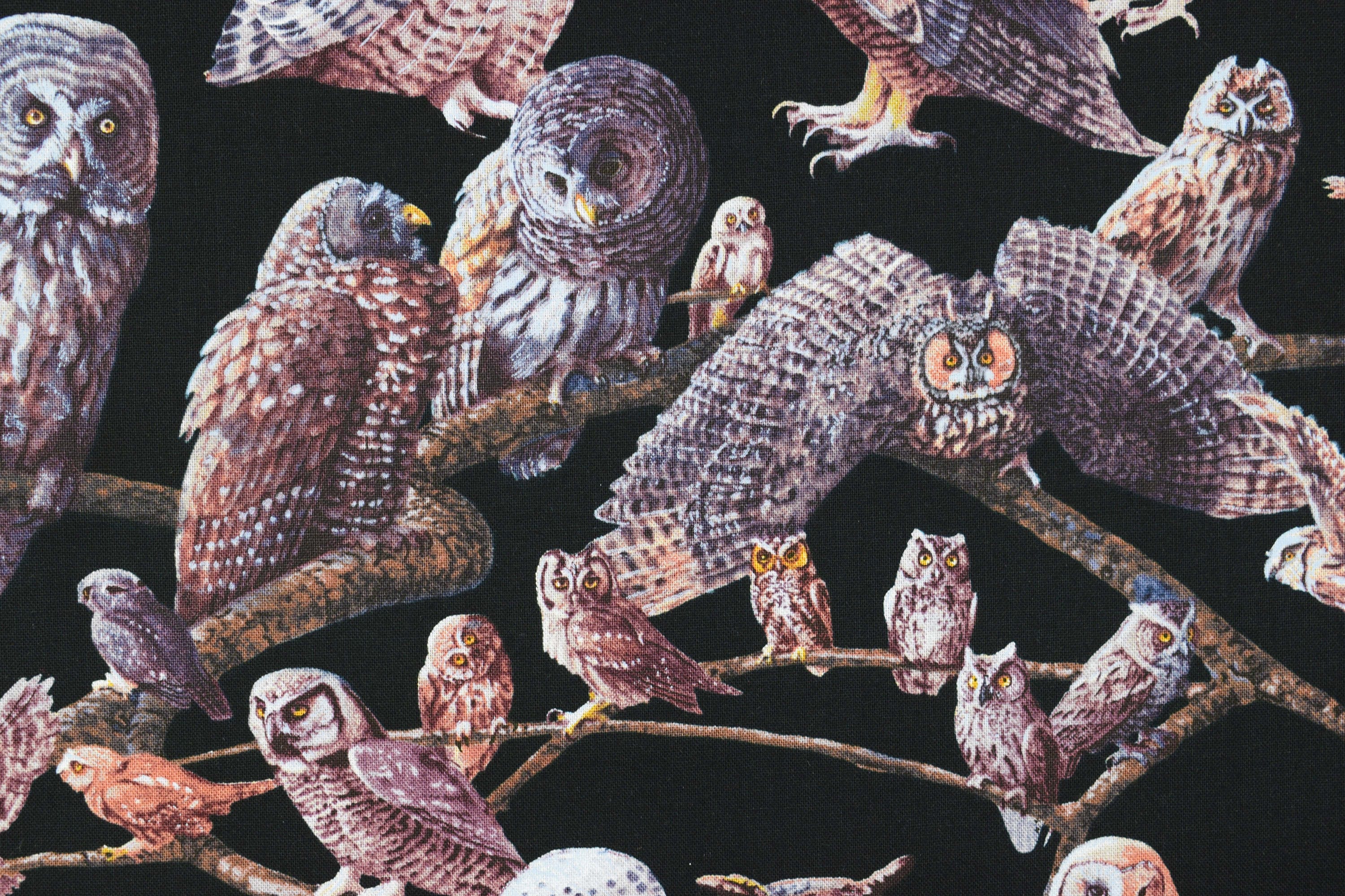 Owl Fabric, owls of North america, quilting fabric,  Price by the Half Metre