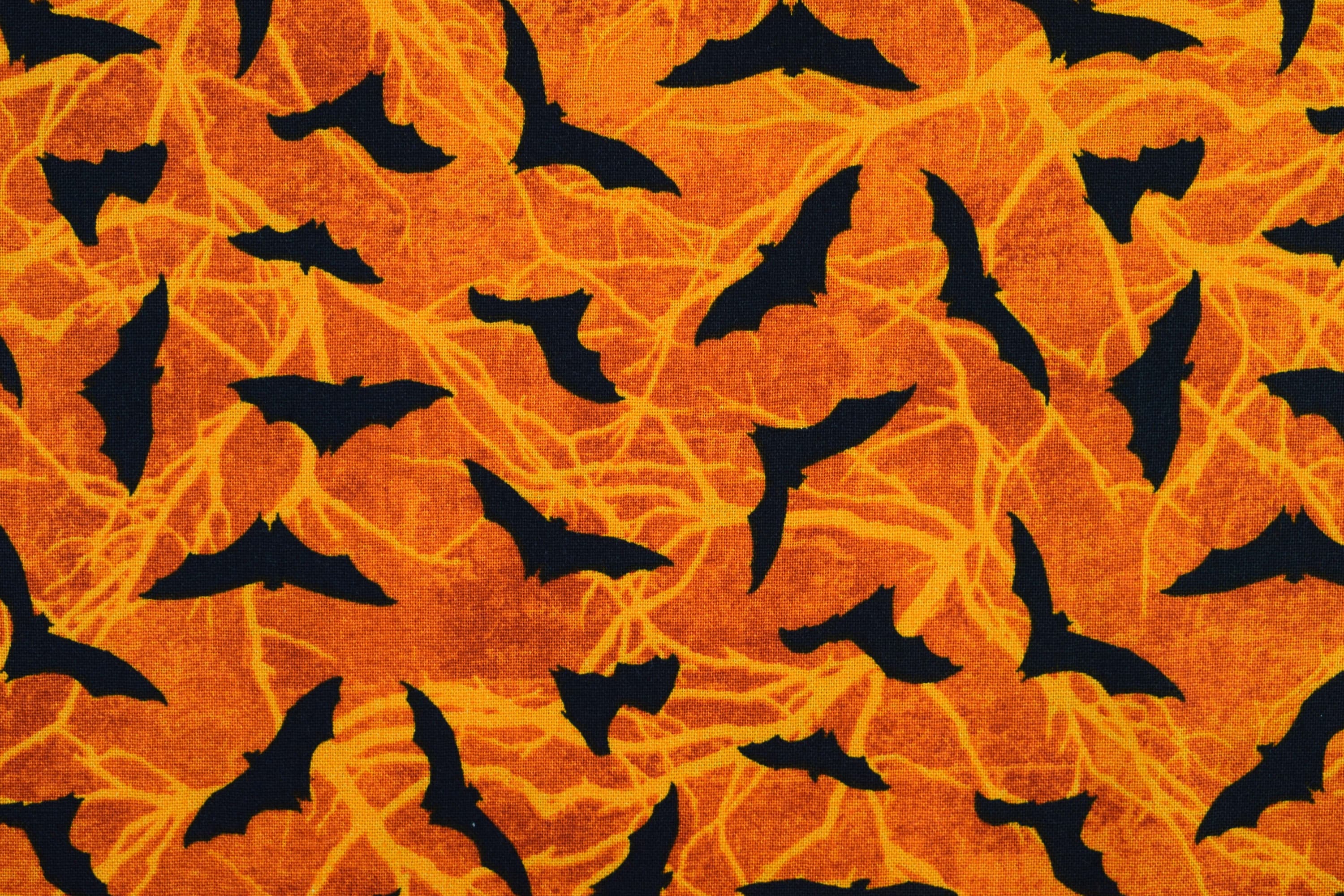 Bat Fabric Halloween Fabric Gothic Horror Fabric Quilting Etsy UK