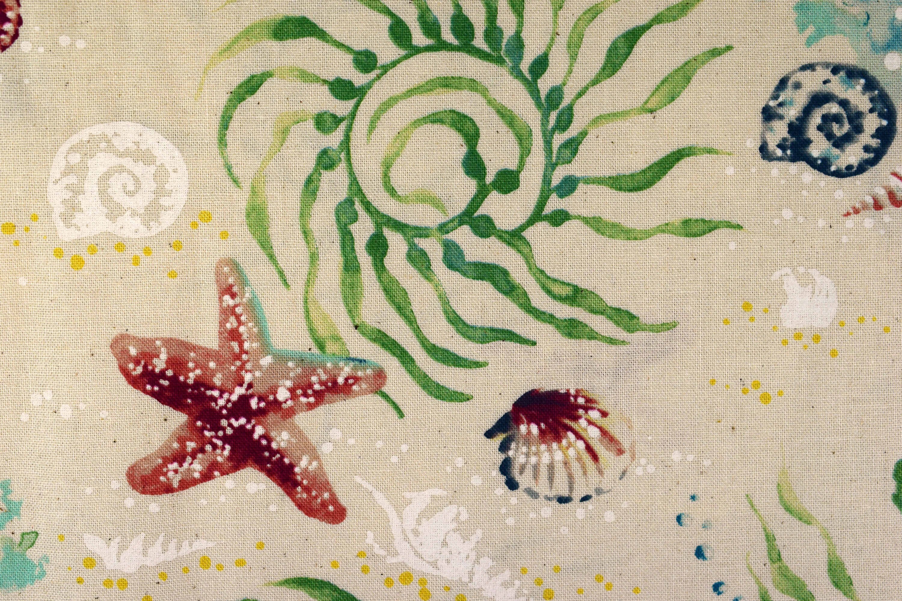 Sea Shell Fabric Cotton Quilting Fabric Sunset Coast Price | Etsy