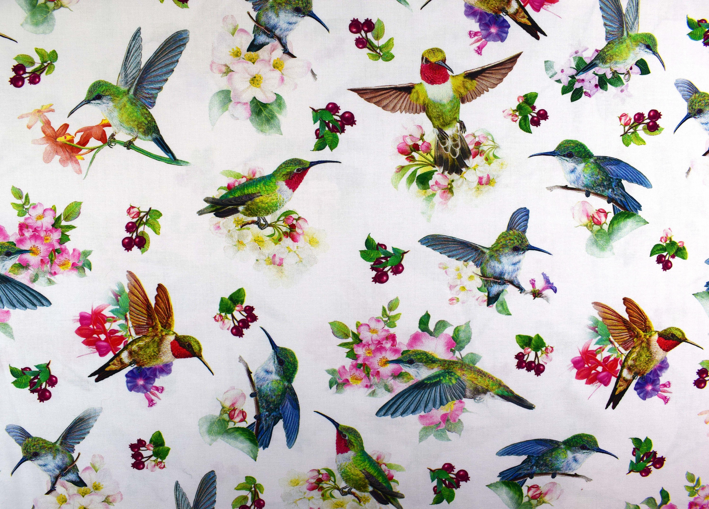 Hummingbird Fabric Quilting Fabric Cotton Fabric Etsy