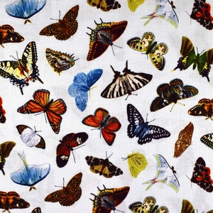 Butterfly Quilting Fabric: Elizabeth&#39;s Studio Cotton Print - Price by Half Metre