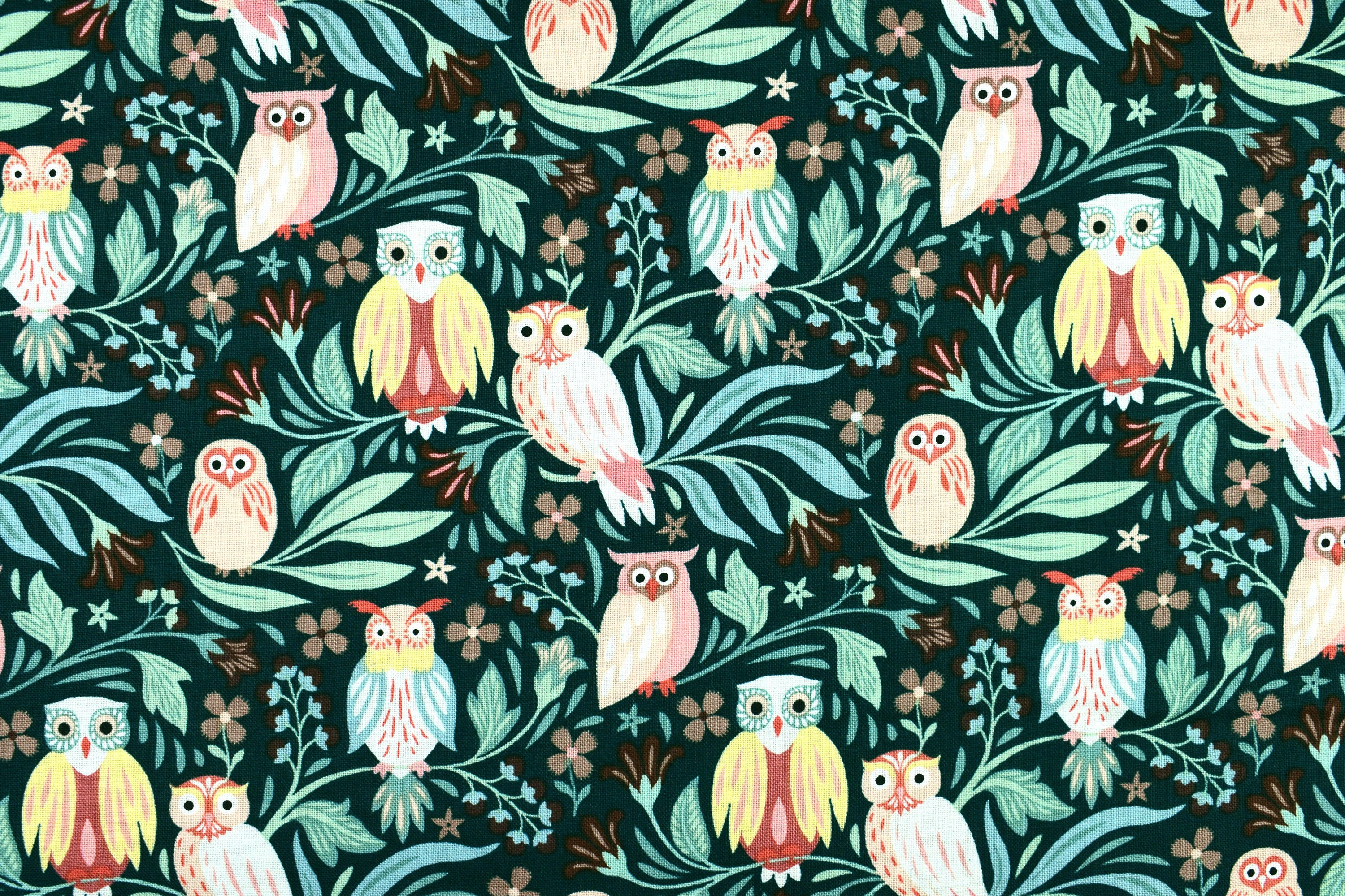 Owl Fabric: Woodland Creatures Cotton Quilting  Dear Stella - Price by Half Metre