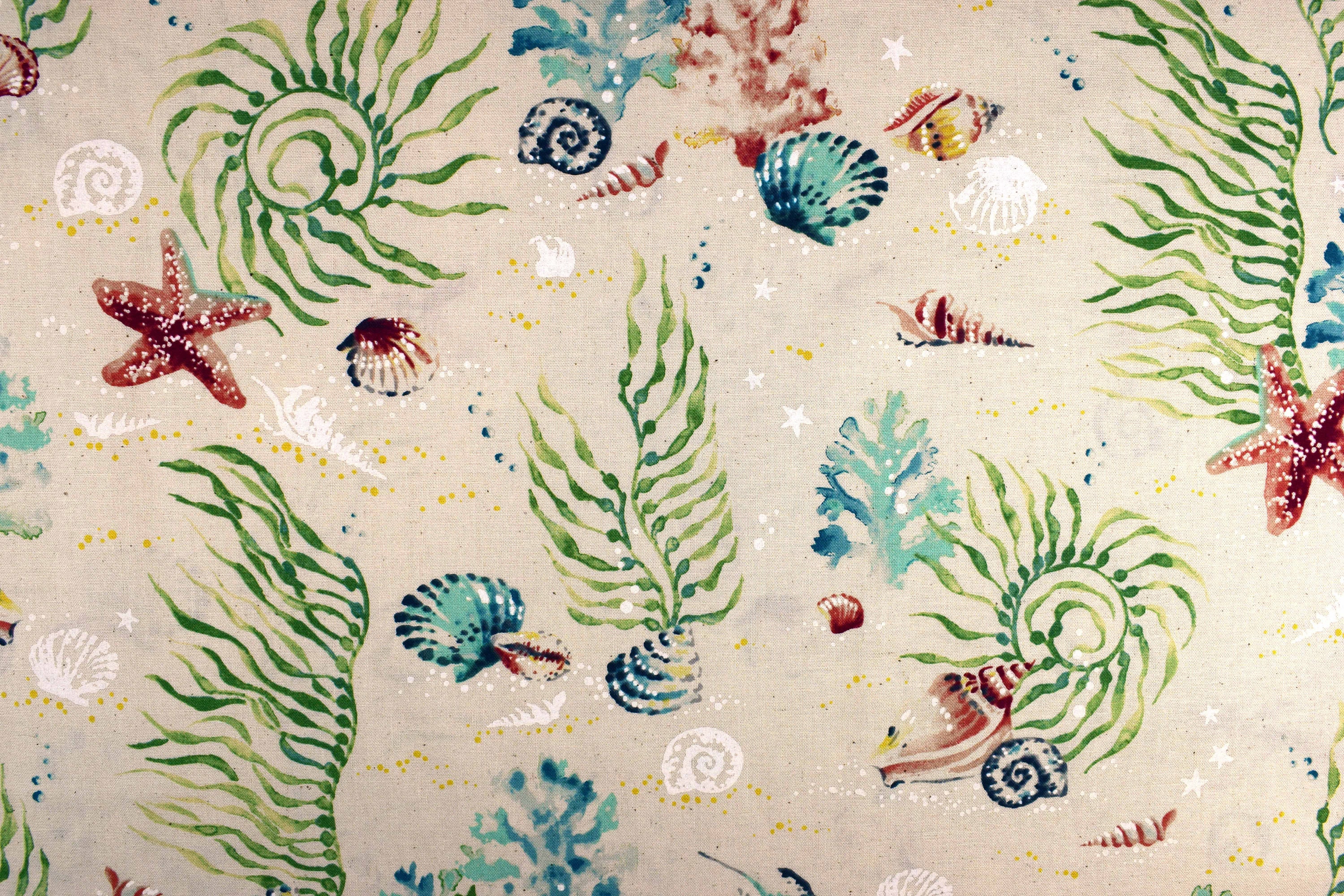 Sea Shell Fabric Cotton Quilting Fabric Sunset Coast Price | Etsy