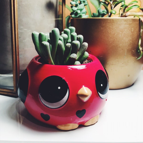 mini planter bird animal flower pot succulent airplant holder
