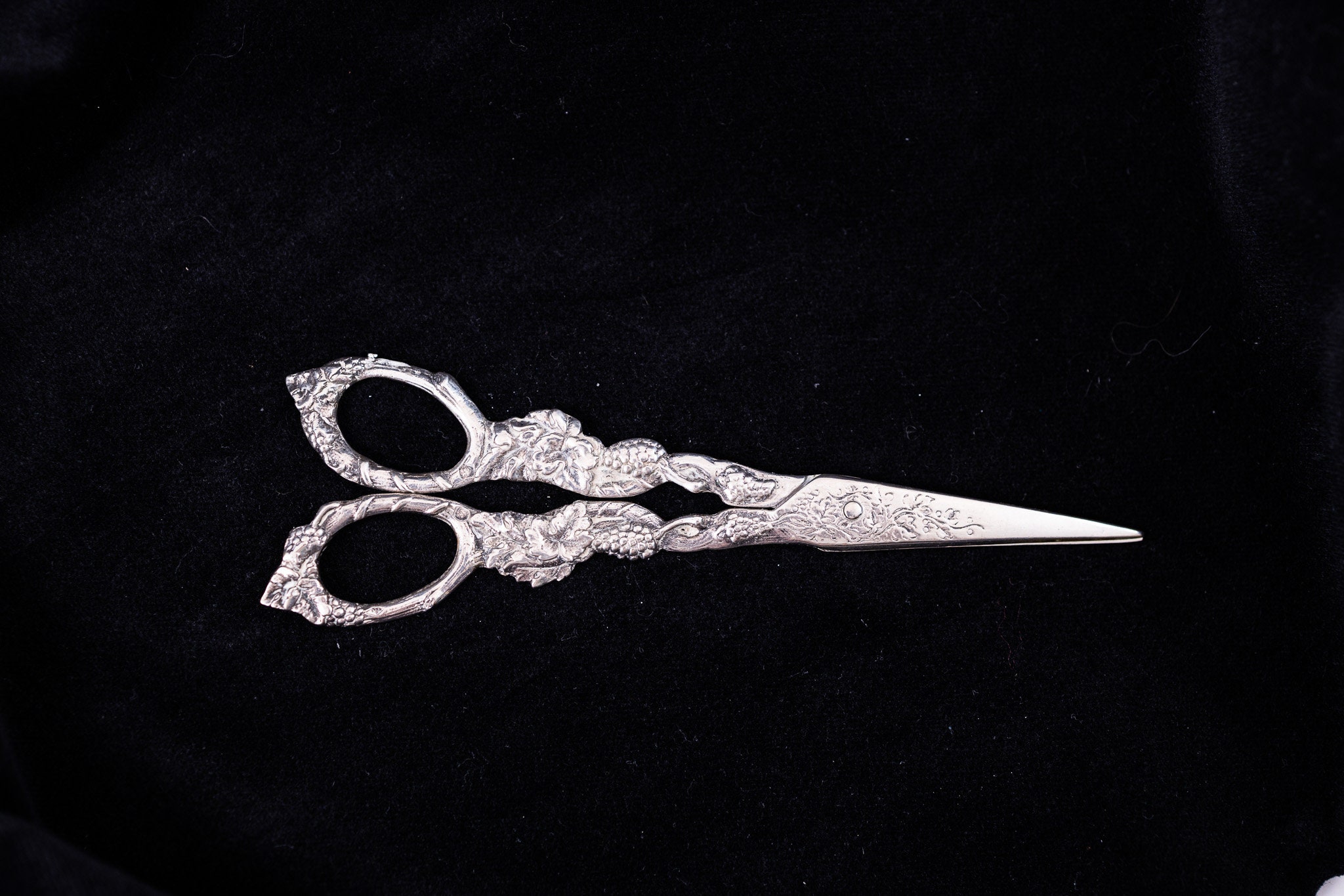 エレガントなブドウの木のデザインが施されたヴィンテージ