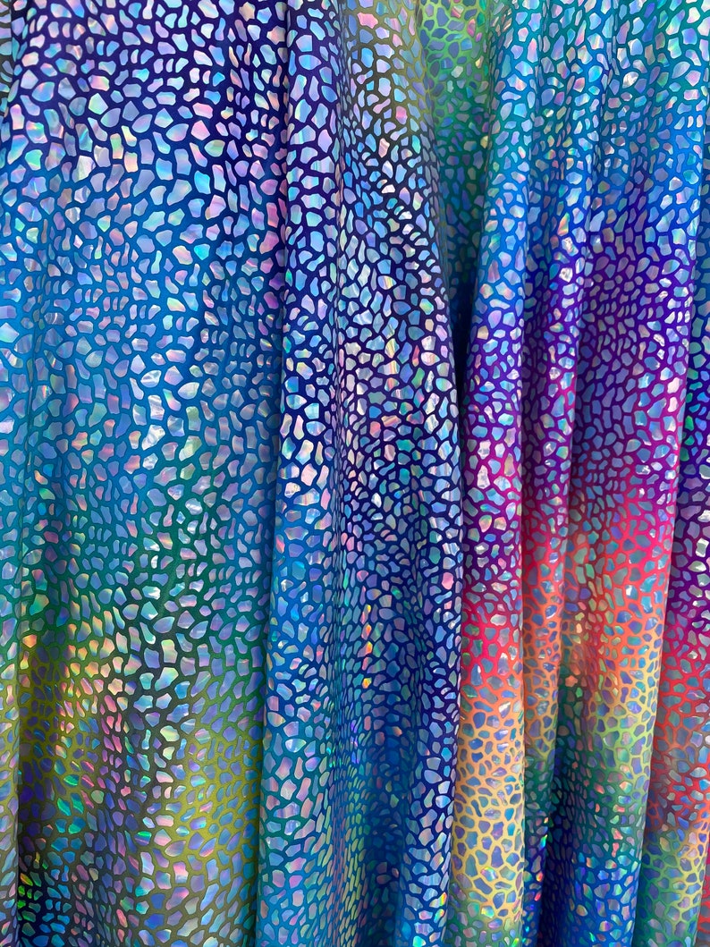 Dinosaur Reptile Skin Design Iridescent Sequins on Rainbow Etsy