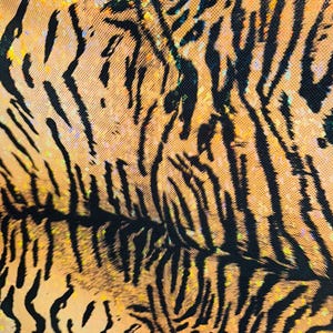 Puede incluir: Primer plano de una tela de estampado de tigre con un acabado brillante e iridiscente. La tela tiene un patr&oacute;n de rayas de tigre negras y naranjas.