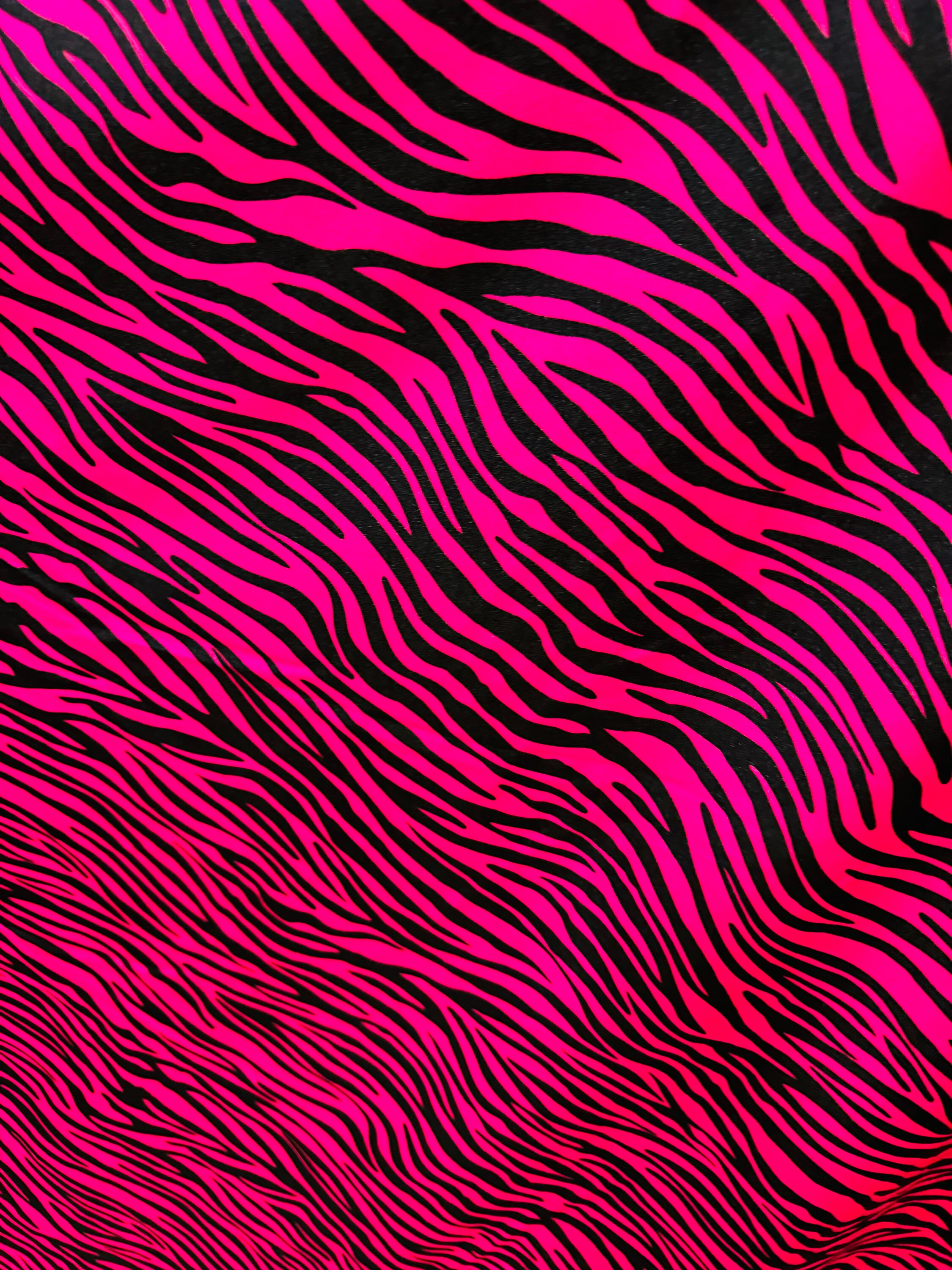 エコビッチ　Lサイズ Exotic Zebra Design Fuchsia/black Print on Best Quality