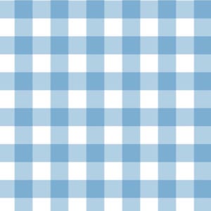 K&ouml;nnte beinhalten: Ein blaues und wei&szlig;es Gingham-Muster. Das Muster besteht aus abwechselnden blauen und wei&szlig;en Quadraten.