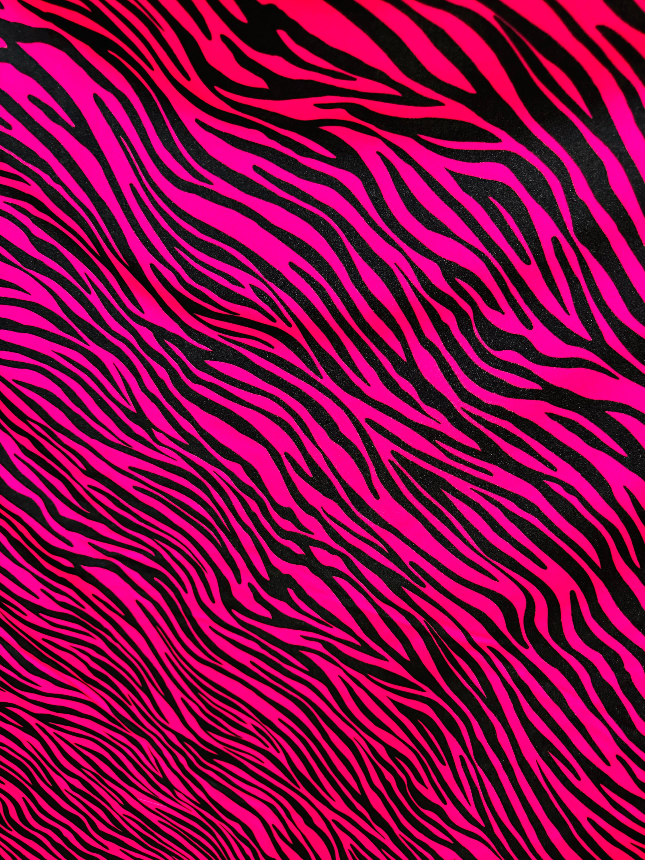 Exotic Zebra Design Fuchsia/black Print on Best Quality Shiny
