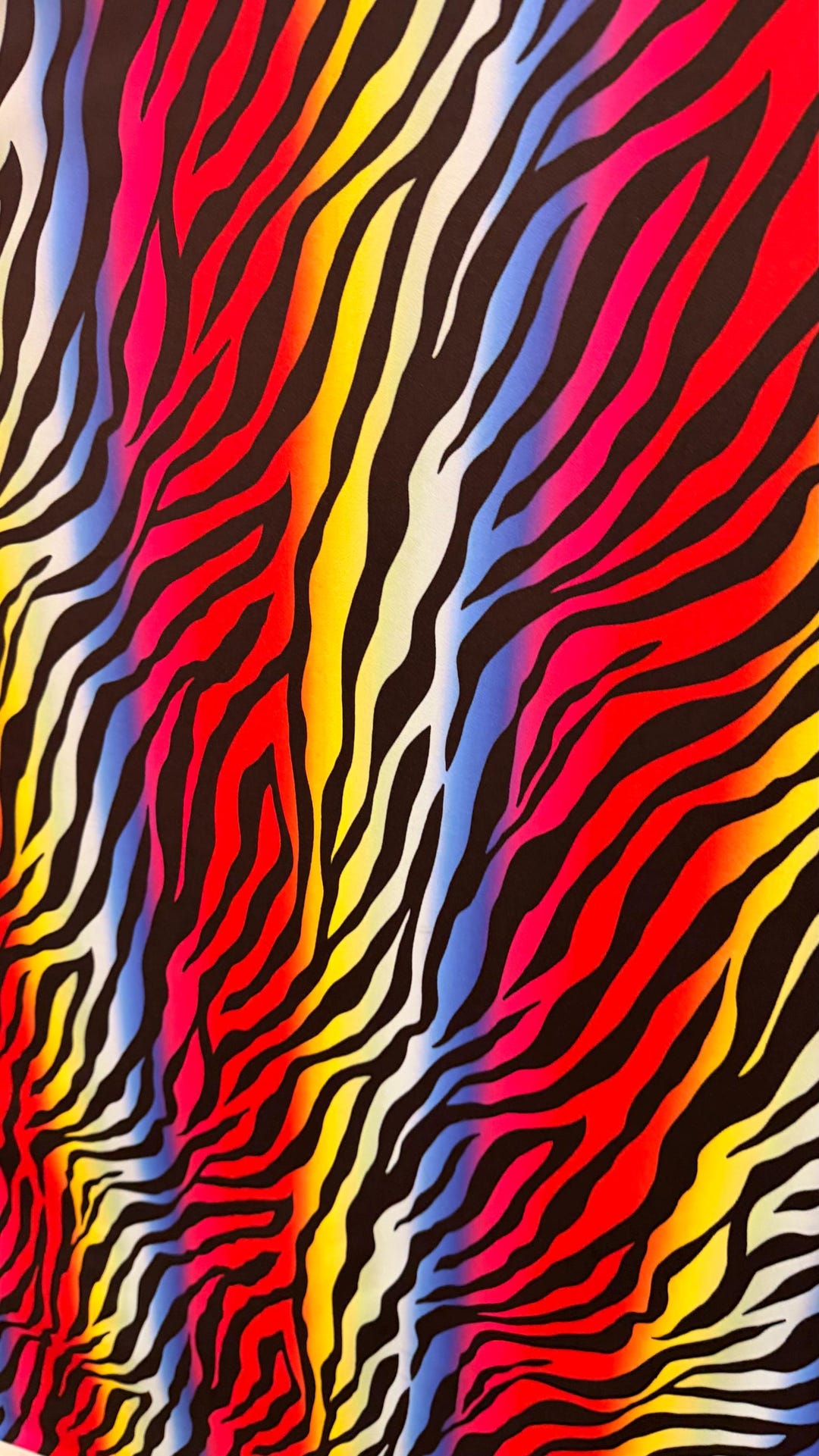 Rainbow Zebra Design Print on Nylon Spandex 4way Stretch 58/60" Sold by ...