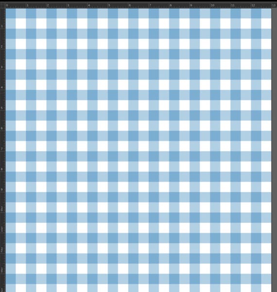 Gingham design size 1/2” Baby blue print on best quality of nylon spandex 4-way stretch 58/60” High quality fabrics by AlexLAFabrics