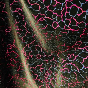 New abstract design foiled stretch velvet 4-way stretch 58/60” Sold by the YD. Ships Worldwide from Los Angeles California USA.