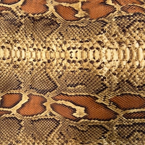 Könnte beinhalten: Nahaufnahme eines braunen und beigen Schlangenhautmusters. Das Muster zeigt ein sich wiederholendes Design aus Schuppen und Rauten.