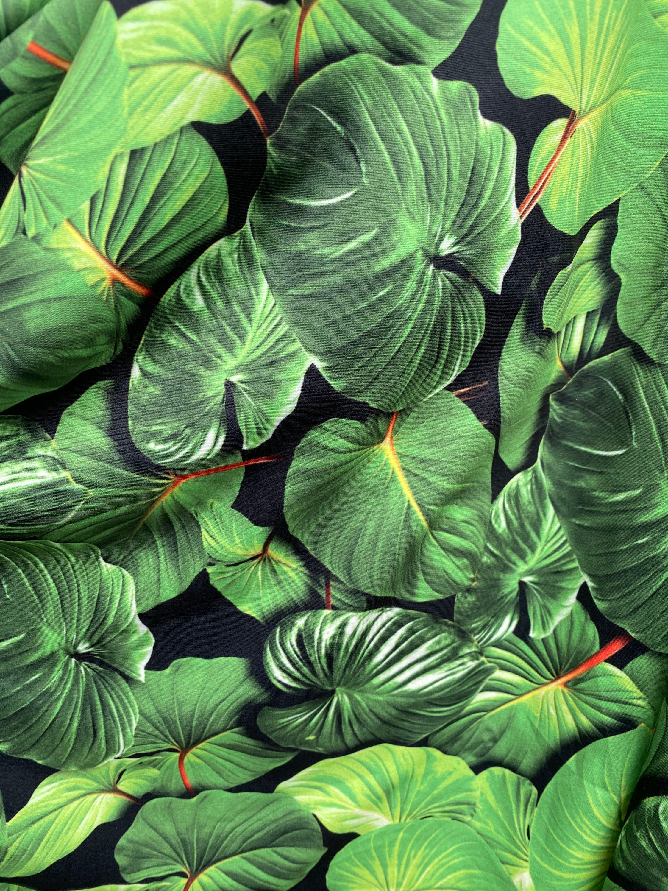 New Leaves Tropical Design Print on Nylon Spandex 4-way - Etsy