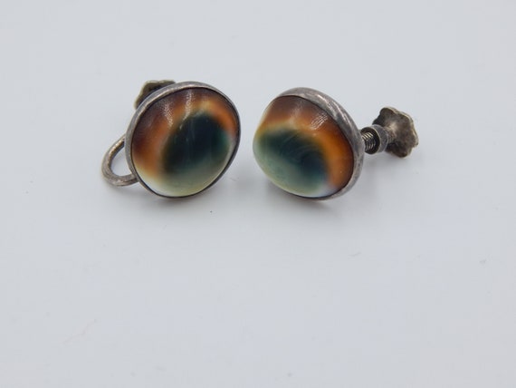 VICTORIAN Operculum Cat display picture 1