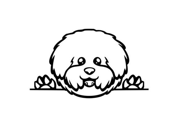 Download Cute Little Bichon Frise Dog Pet Puppy Peeking Vector Clipart Etsy