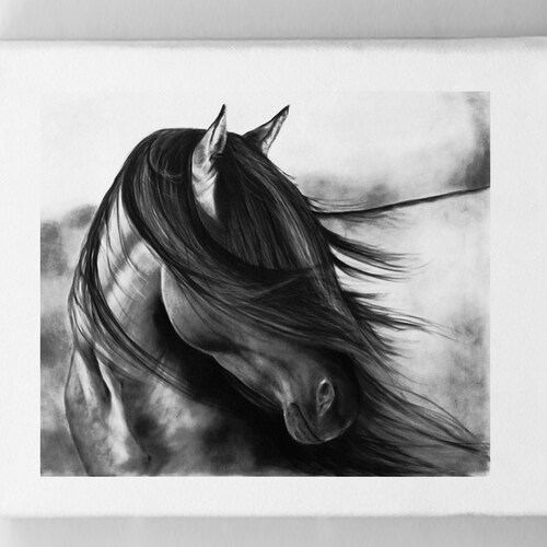 Horse Print Black and White Pencil Drawing of Horse Art Etsy