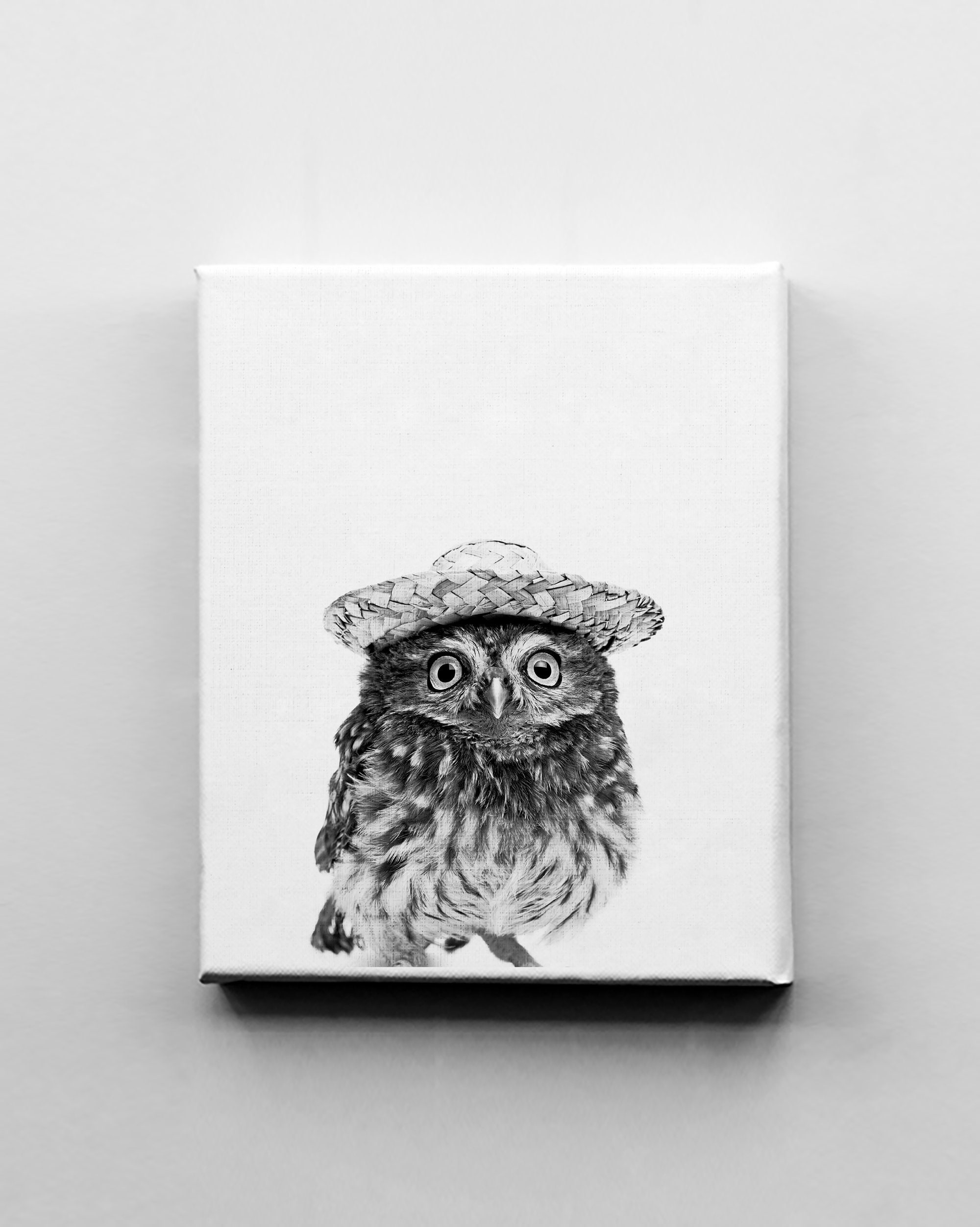 Owl Print Owl Poster Owl Wall Art Owl Illustration Etsy