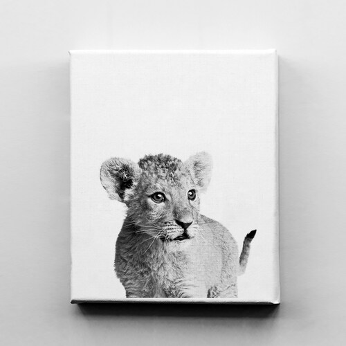 Lion Cub Print Baby Wall Art Safari Animal Prints Baby Lion Etsy