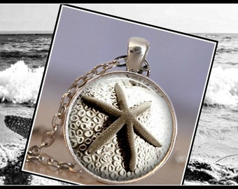 Starfish Beach, Sealife, Ocean Jewelry Dainty Starfish Pendant Necklace Beach Wedding Cruise Jewelry