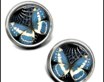 Beautiful Blue Butterfly Photo Art Image Button Stud Earrings