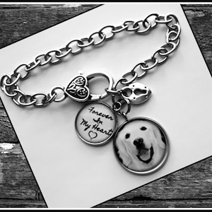 Armband för husdjur, för alltid i mitt hjärta, minnesmärke i rostfritt stål med foto, armband för hund och katt, kondoleansegåva för förlust av husdjur.