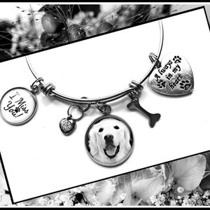 Cremation Urn Photo Charm Bracelet In Loving Memory Of Dog Always In My Heart Pet Memorial Cat Keepsake Stainless Steel Anti-Tarnish!