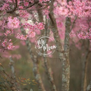 Pink Blossom II / Valentines Backdrop/ Digital Backdrop/ Digital Background/ Digital Art