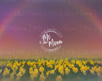 Flower Fantasy / Spring Backdrop/ Digital Backdrop/ Digital Background/ Digital Art