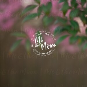 Spring Morning 3 / Valentines Backdrop/ Digital Backdrop/ Digital Background/ Digital Art