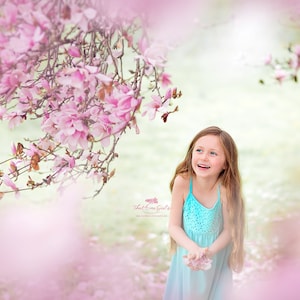 Cherry blossom Garden / Valentines Backdrop/ Digital Backdrop/ Digital Background/ Digital Art
