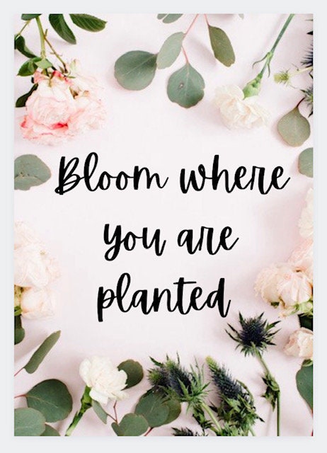 Bloom Where You Are Planted: Printable A4 Poster - Etsy