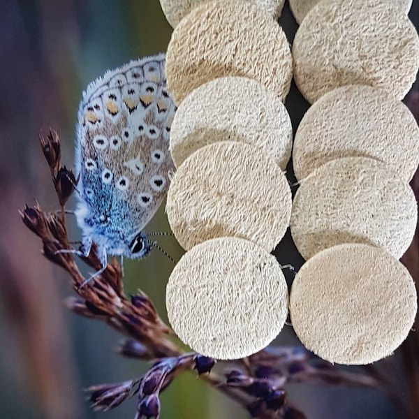 Coussinets naturels en luffa pour le visage | Exfoliant naturel pour le visage | disques de luffa | paquet de 10