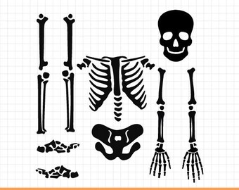 Skeleton Parts svg, Skeleton svg, Skeleton png, Skeleton parts png, Halloween svg, Cricut Cut Files, Skeleton for Cricut and Silhouette.